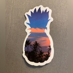 🌈20/$12🌈 Tropical Sunset Pineapple Sticker